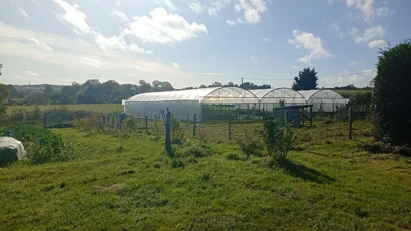 la ferme des vivants - producteur - maraichage - Taupont