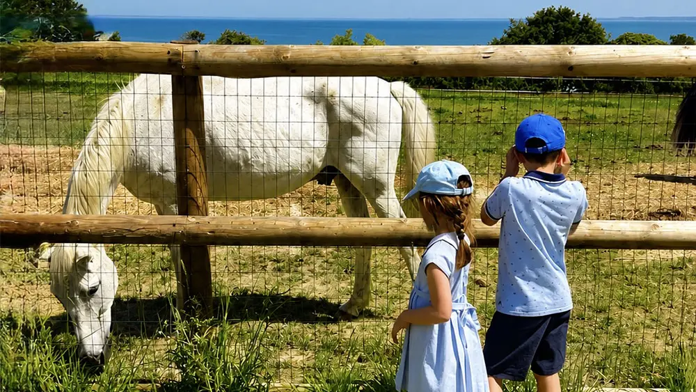 La ferme du Grand Porcon