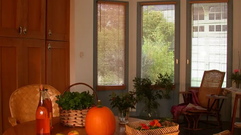 Location les Carolines