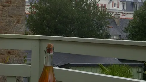 Location les Carolines