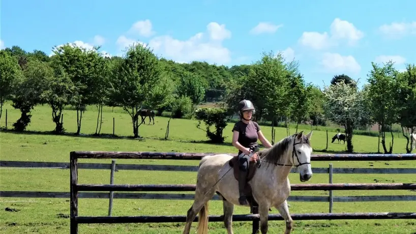 les-chevaux-du-vent--laclaiedeslandes--Copier-