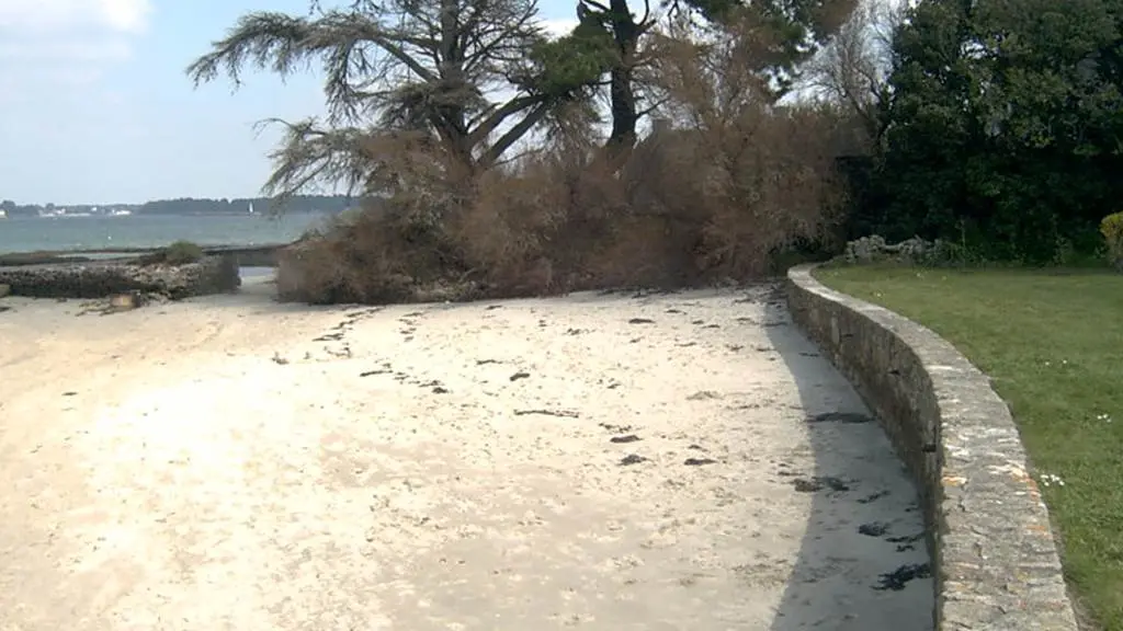 Localoc-studio-b-locmariaquer-morbihan-bretagne-sud