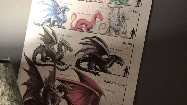 location-gite-bretagne-o-petit-manoir-ecole-3-hiboux-dragons