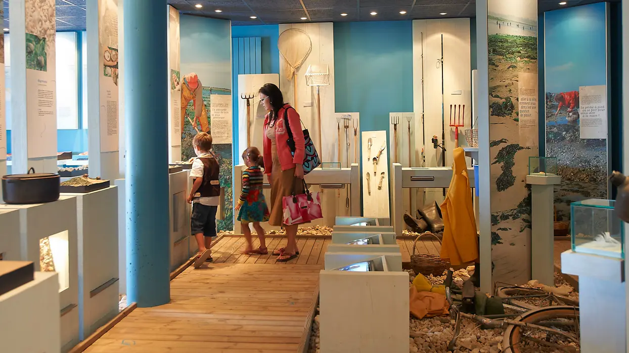 Maison-Ile-Kerner-Riantec-Morbihan-Bretagne-Sud