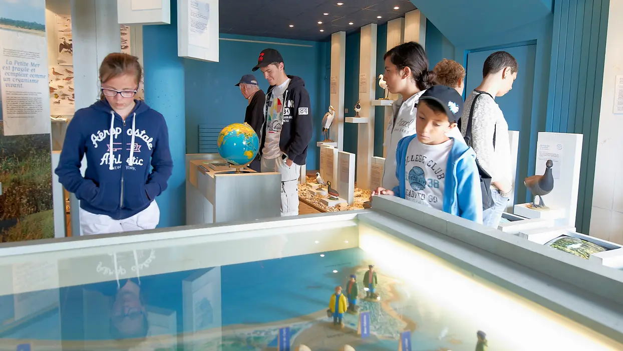 Maison-Ile-Kerner-Riantec-Morbihan-Bretagne-Sud