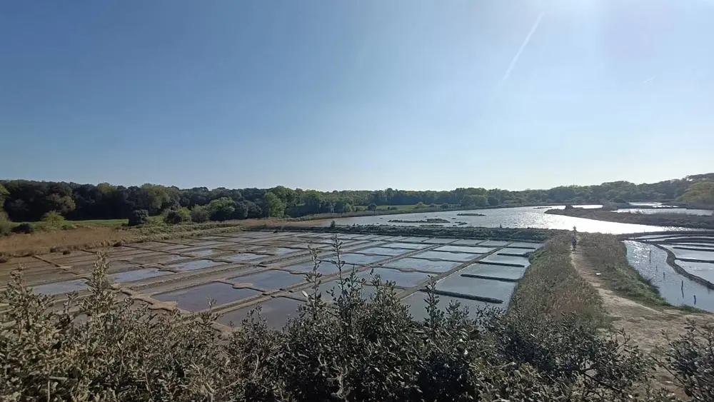 La petite Reine de Rhuys