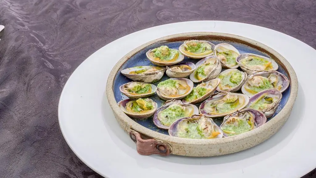 La-Belle-d'Ilur-Séné-Golfe-du-Morbihan-Bretagne Sud-04