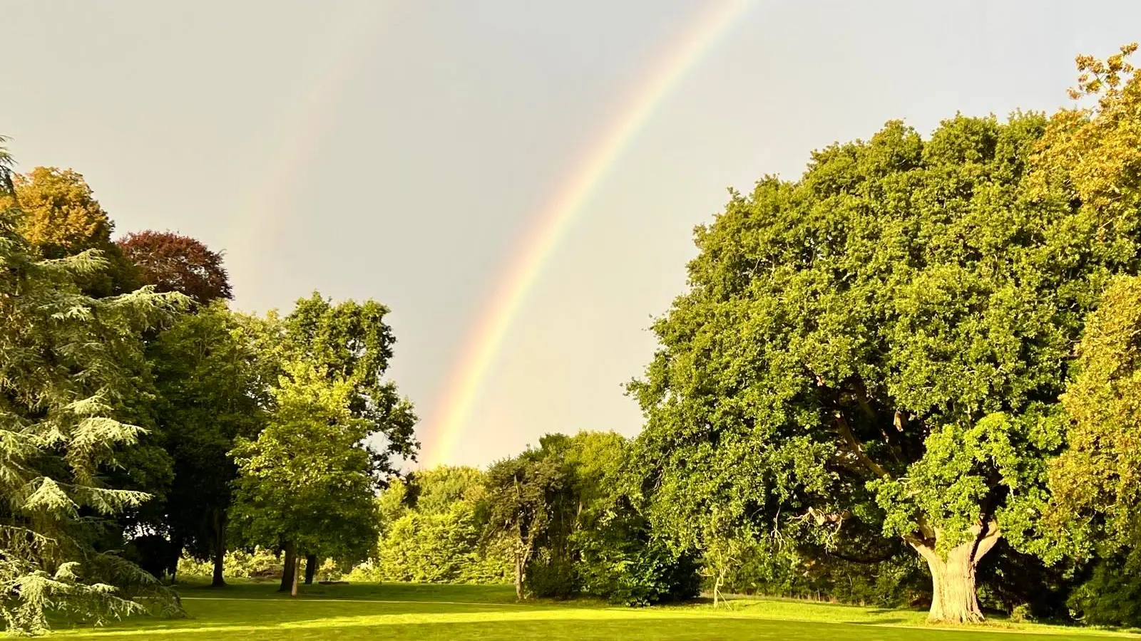 Chambres d'hôtes - Manoir du Val Riant - Saint-Malo - Le parc