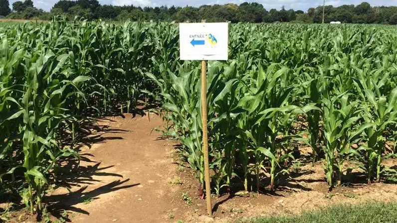 Parc-de-Loisirs-Ker-ar-C-hoari-Guidel-Morbihan-Bretagne-Sud