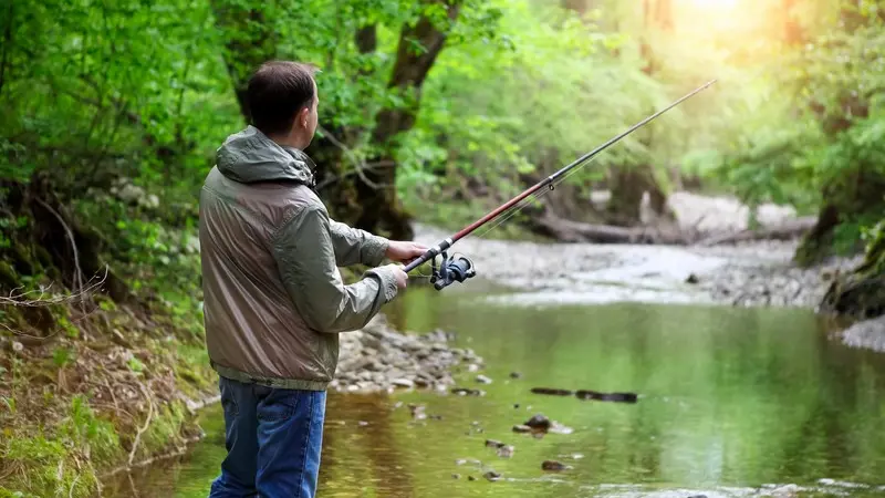 Le brochet