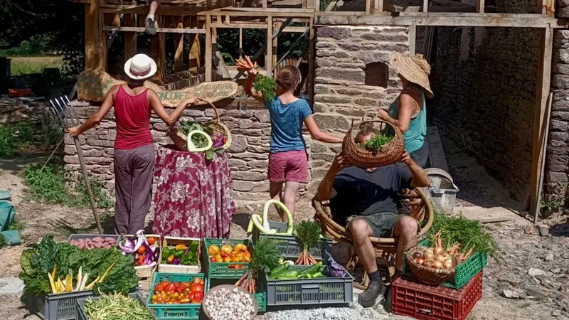 ferme_la-bouvrais-rumex_maraichage_brebis_Concoret_DestinationBroceliande