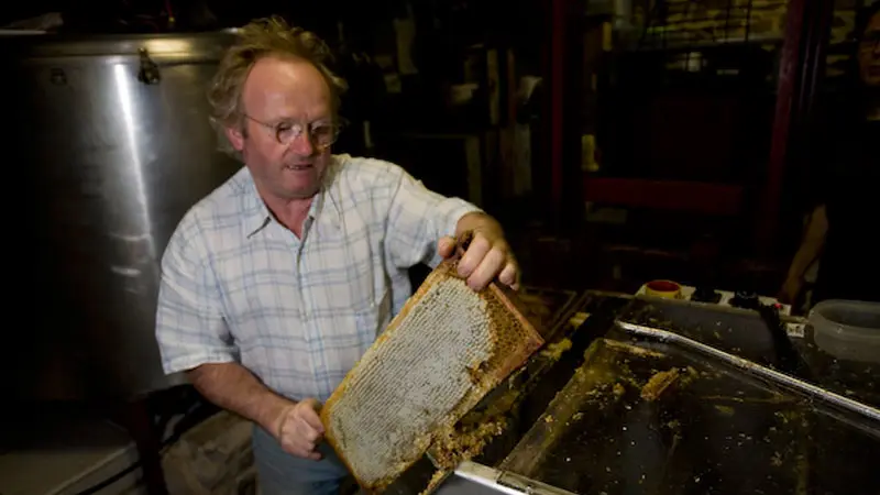 la Maison de l'Abeille