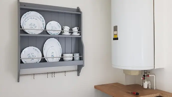 Location-Fuschias-Saint-Jouan des Guérêts