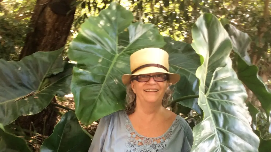 Suivez le coeur - photo