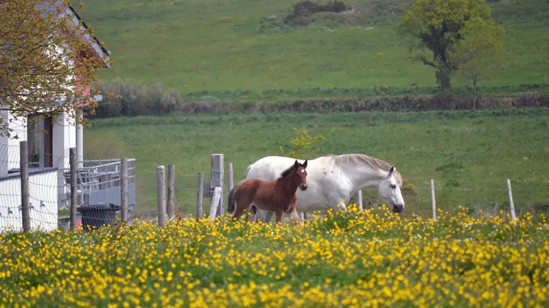 Les Hauts de Toulvern