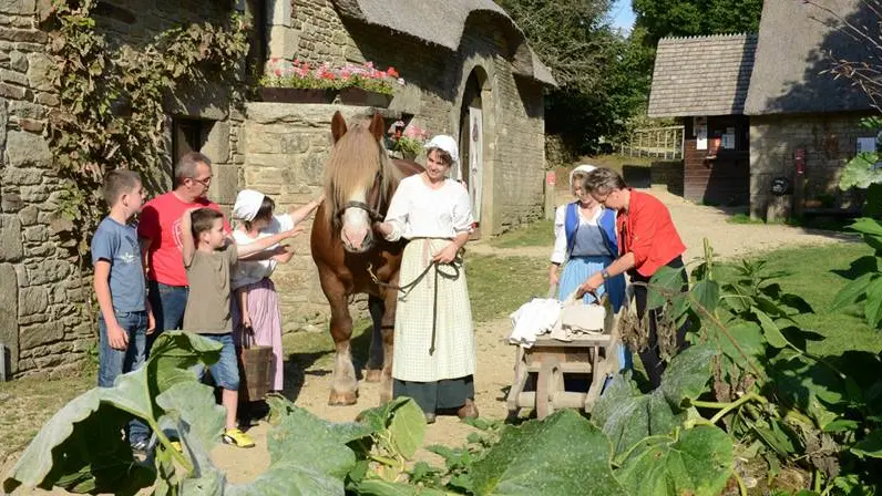 Poul-Fetan-Quistinic-Morbihan-Bretagne-Sud