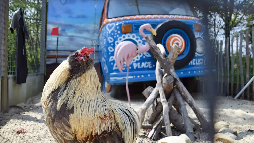 Les Jardins de Brocéliande