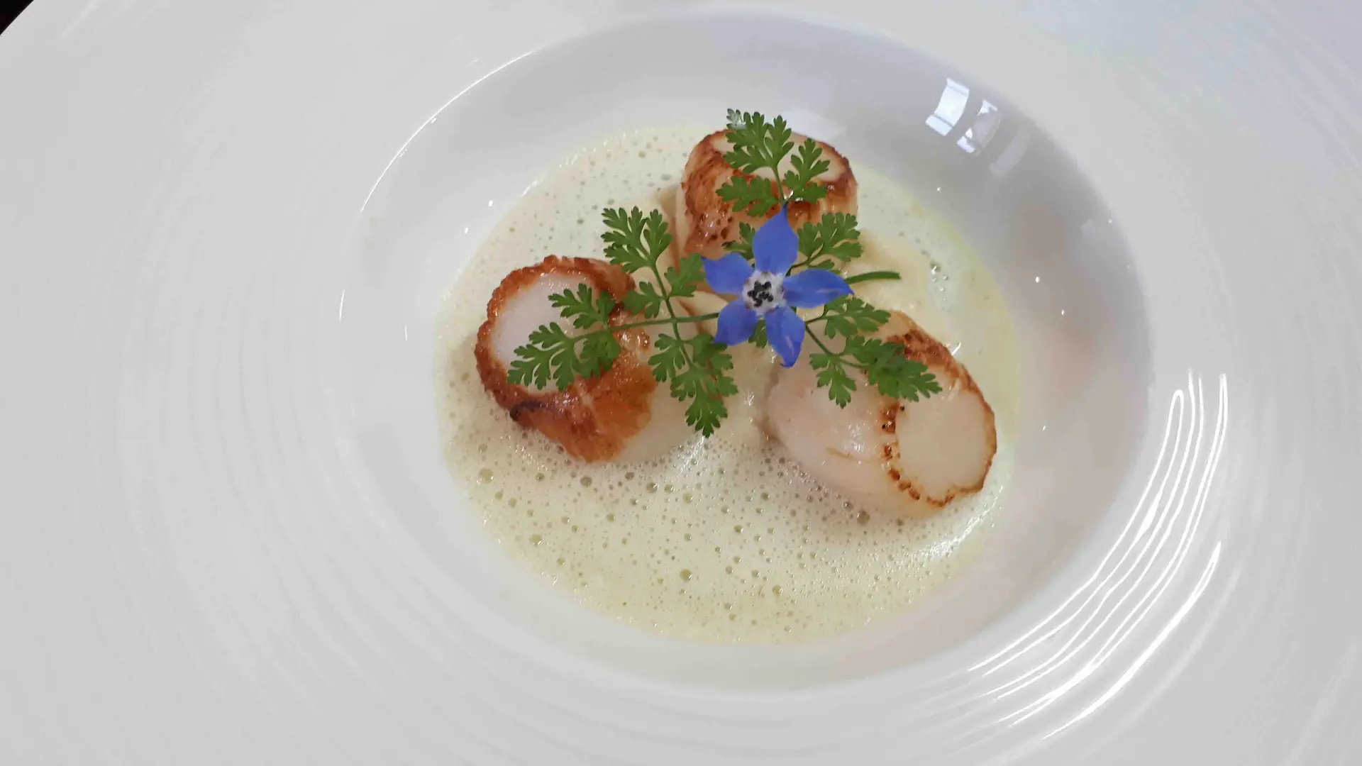 plat-st-jacques La Table du Jardin des Simples - Mont-Dol