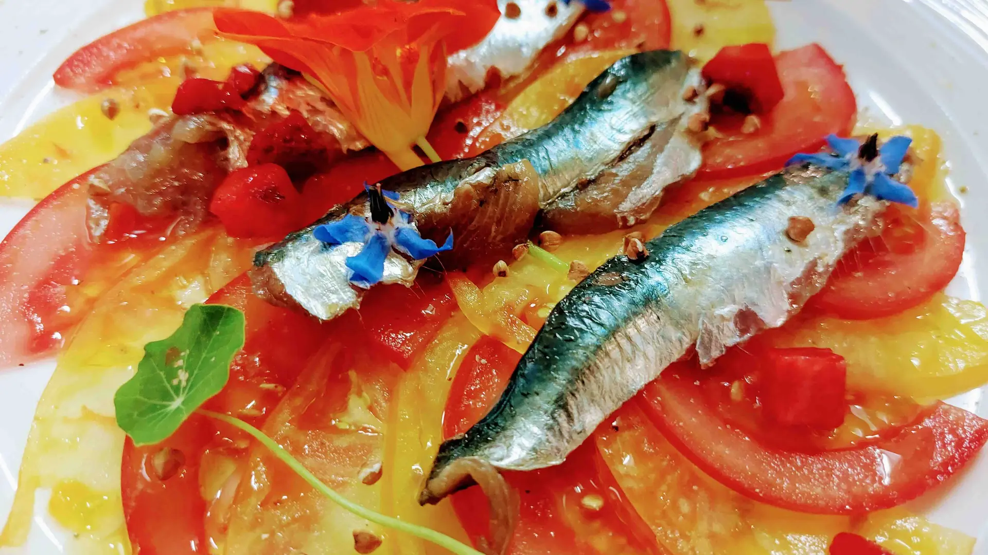 plat-sardine-tomates - La Table du Jardin des Simples Mont-Dol