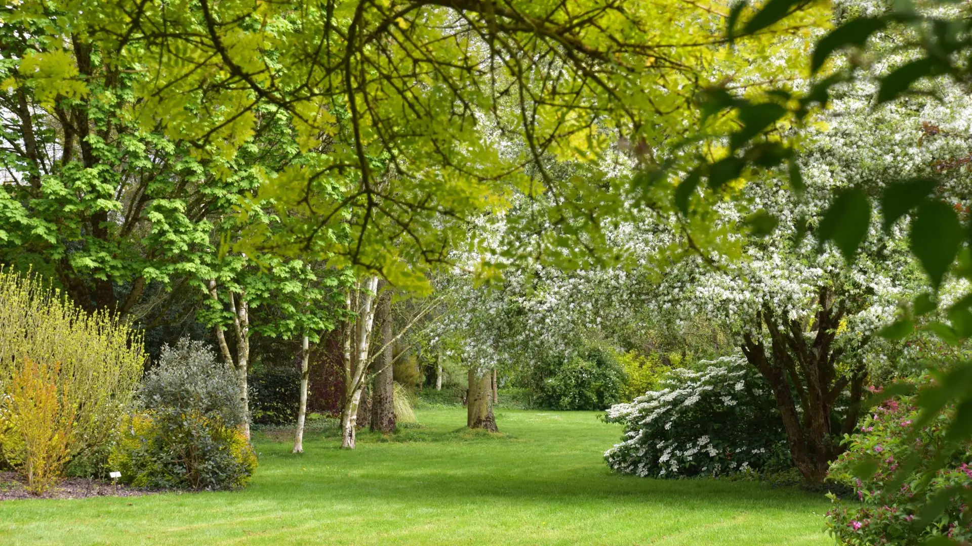 Jardin à l'anglaise