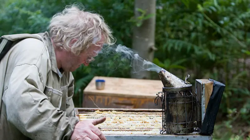 la Maison de l'Abeille