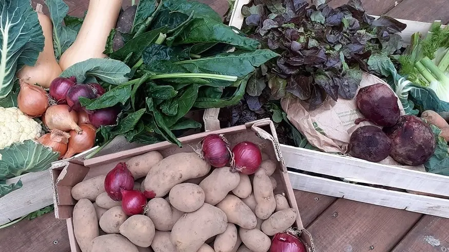 restaurant-locmine-fontaine-beurre (5)