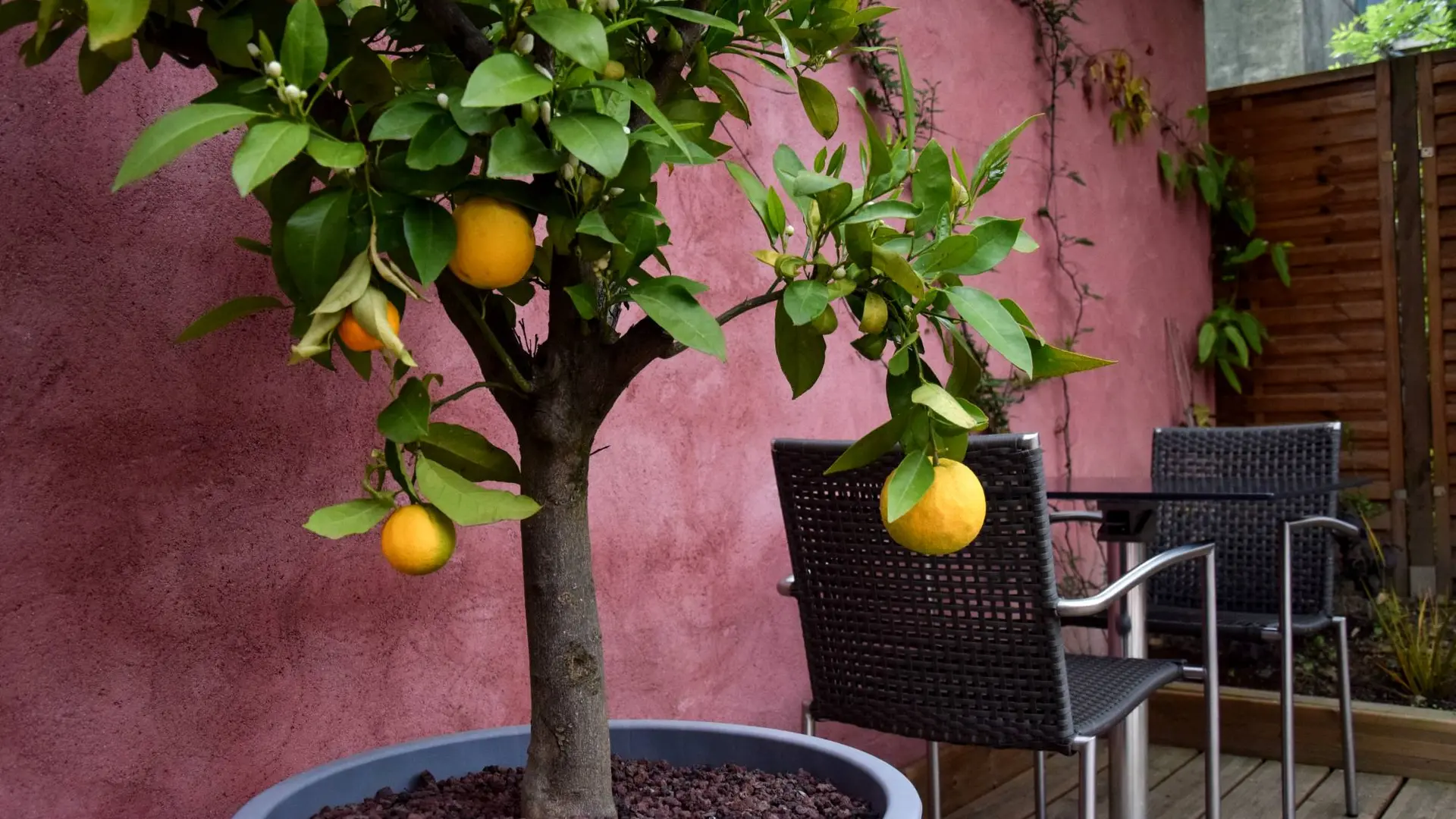 resto_latelier_paimpont_mai2019-5