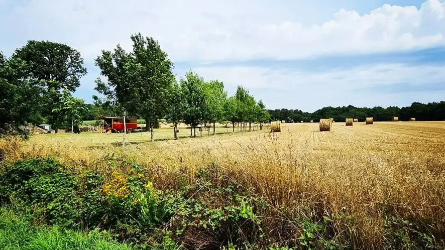 roulotte chamboheme campagne