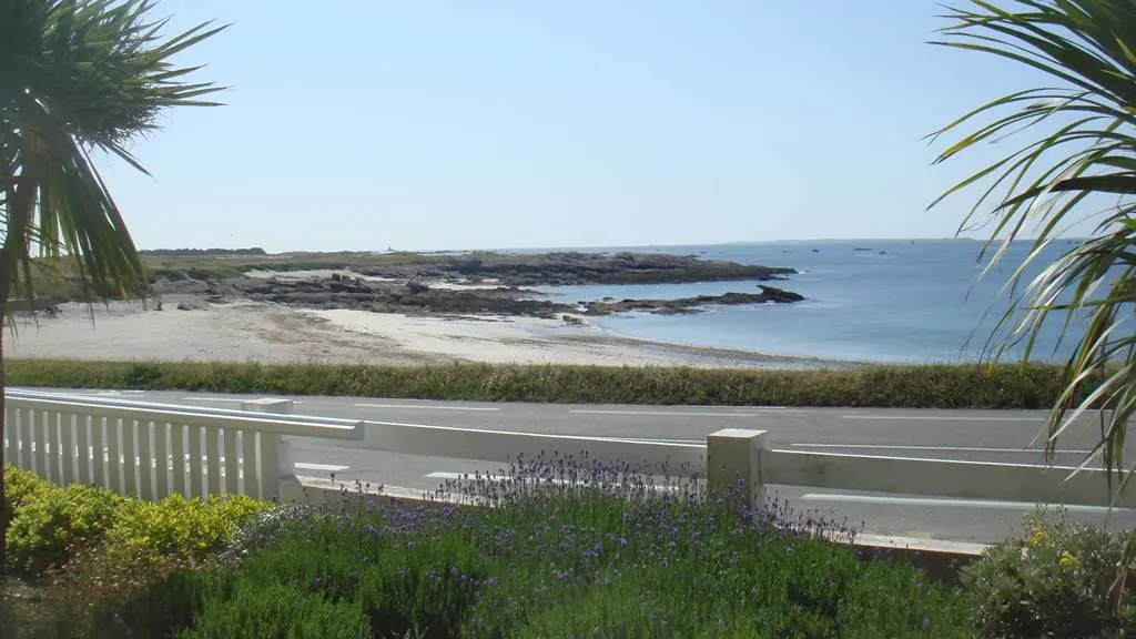 SchwartzLawrenceQuiberon4