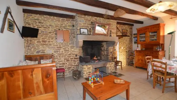 salle devant cheminée