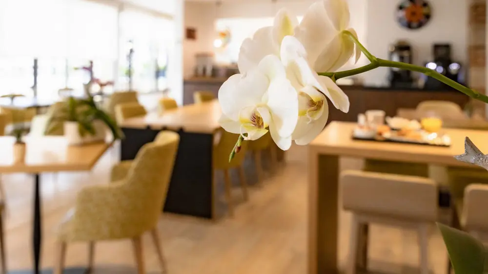 Hôtel Ginkgo & Spa Biloba