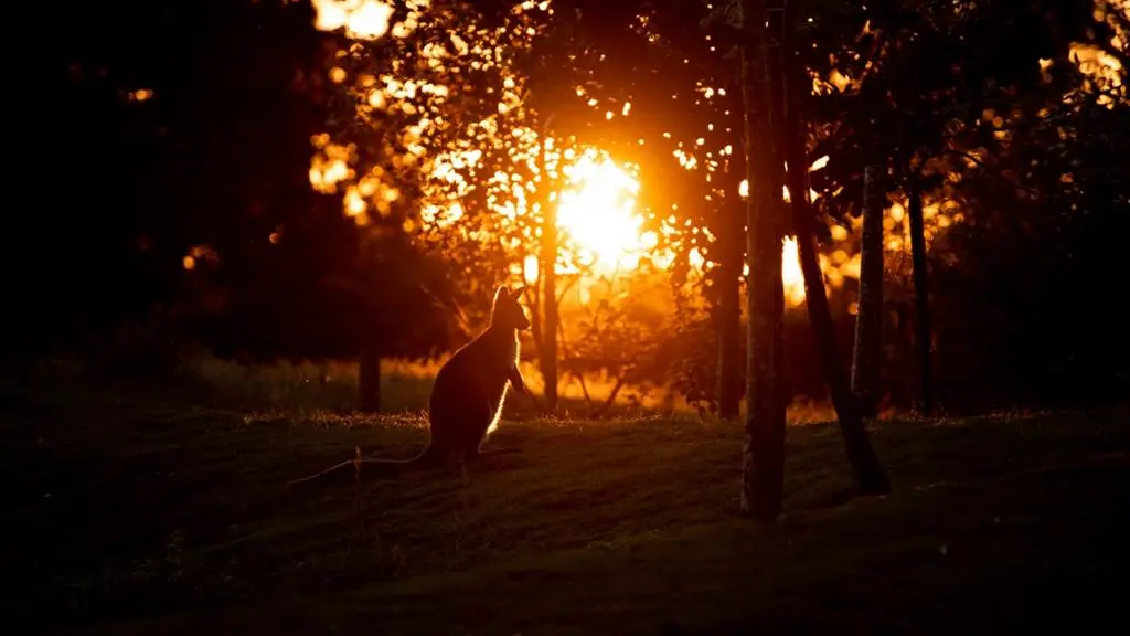 Branfere-Le-Guerno-Morbihan-Bretagne-Sud