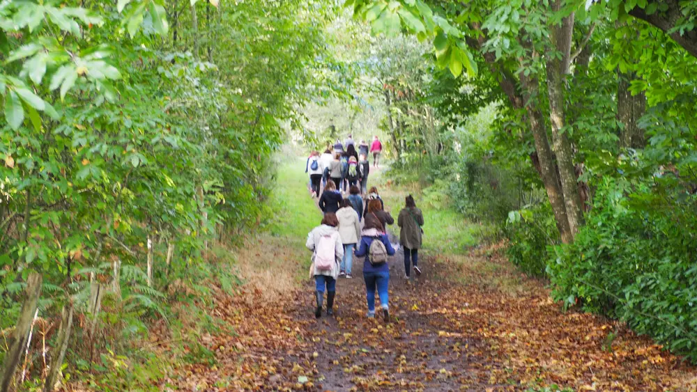 sousbois©OTILBPG-AV-(5)