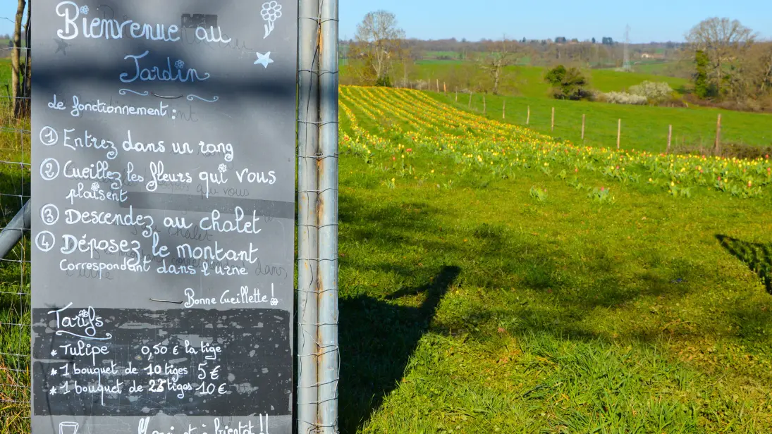 texon-tulipes-flavignac