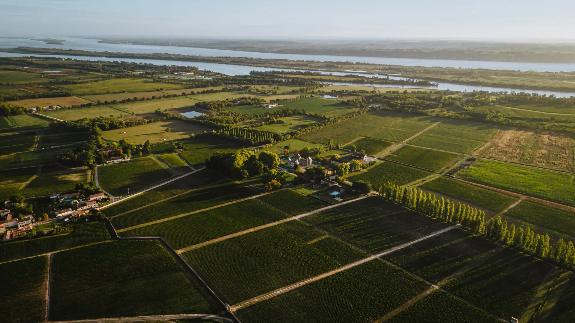Vue d'ensemble du vignoble