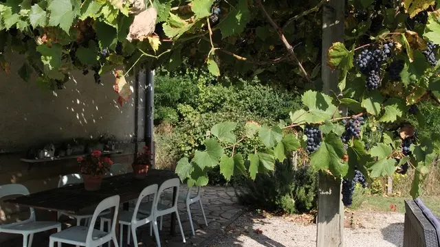 pergola