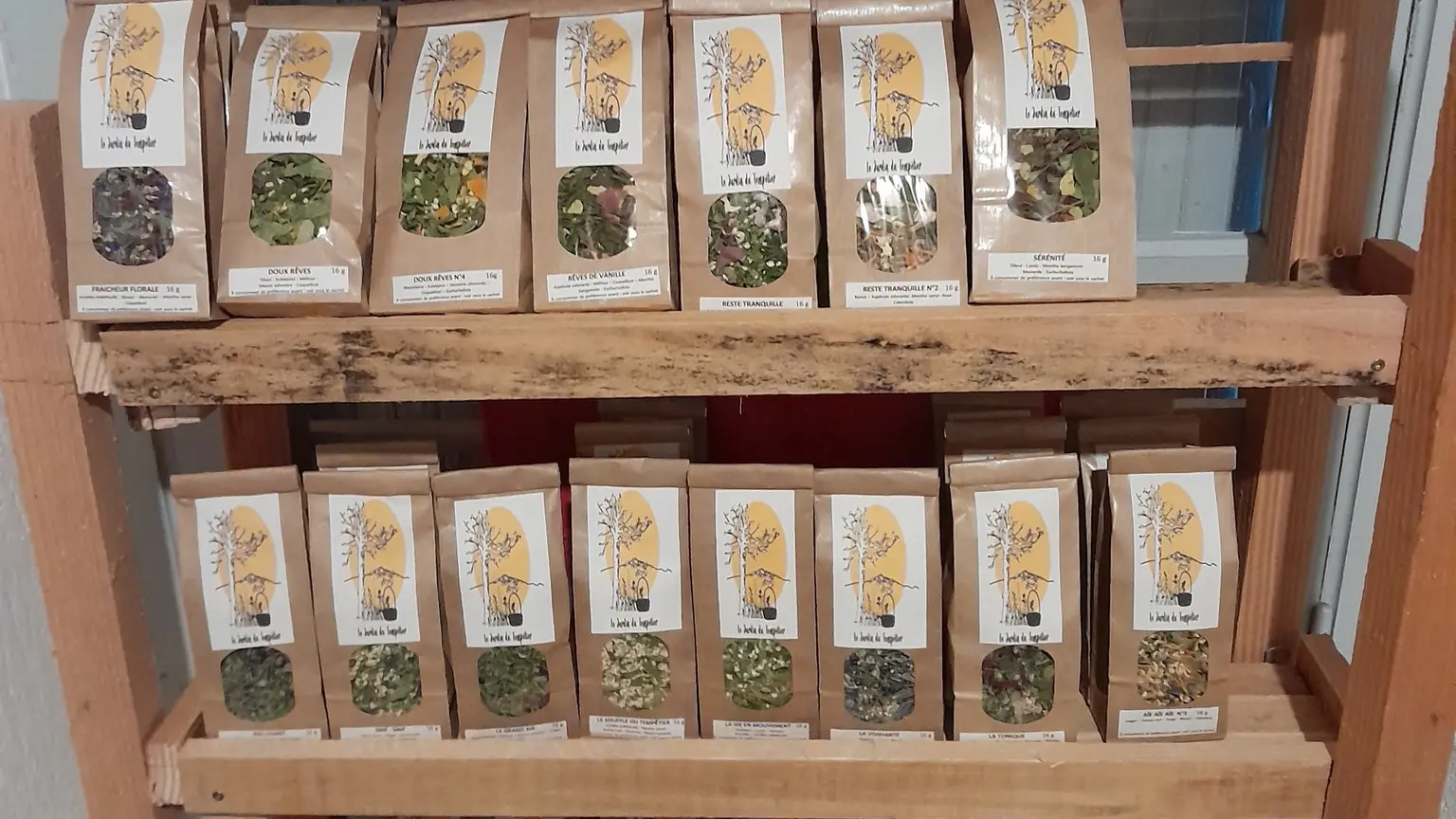 402641625_781957230610526_1675898075986067387_n