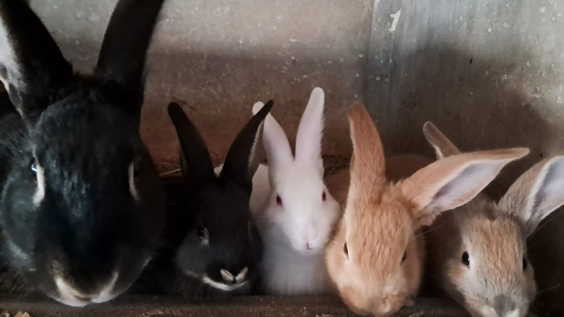 464492036_401377693026315_2376217879731402871_n