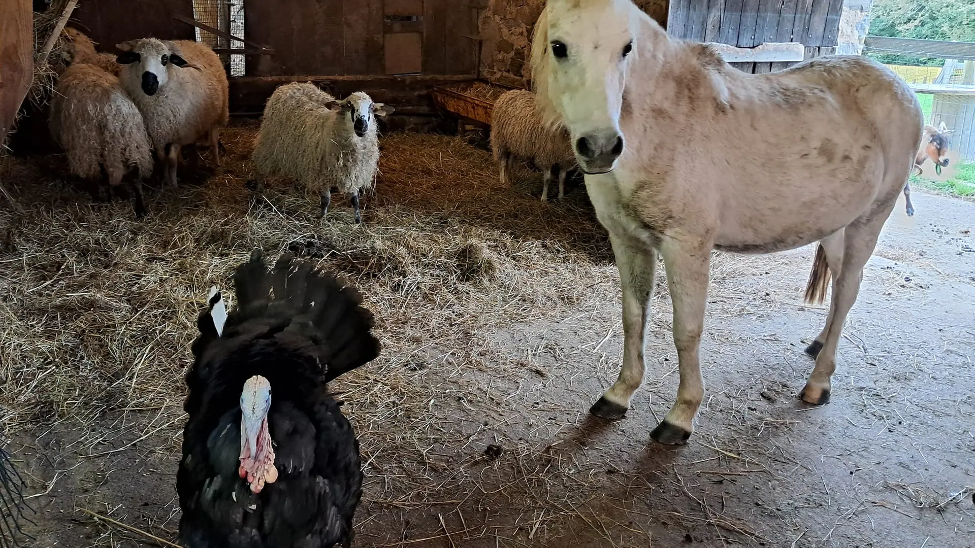 464512348_401378023026282_727234434886850590_n