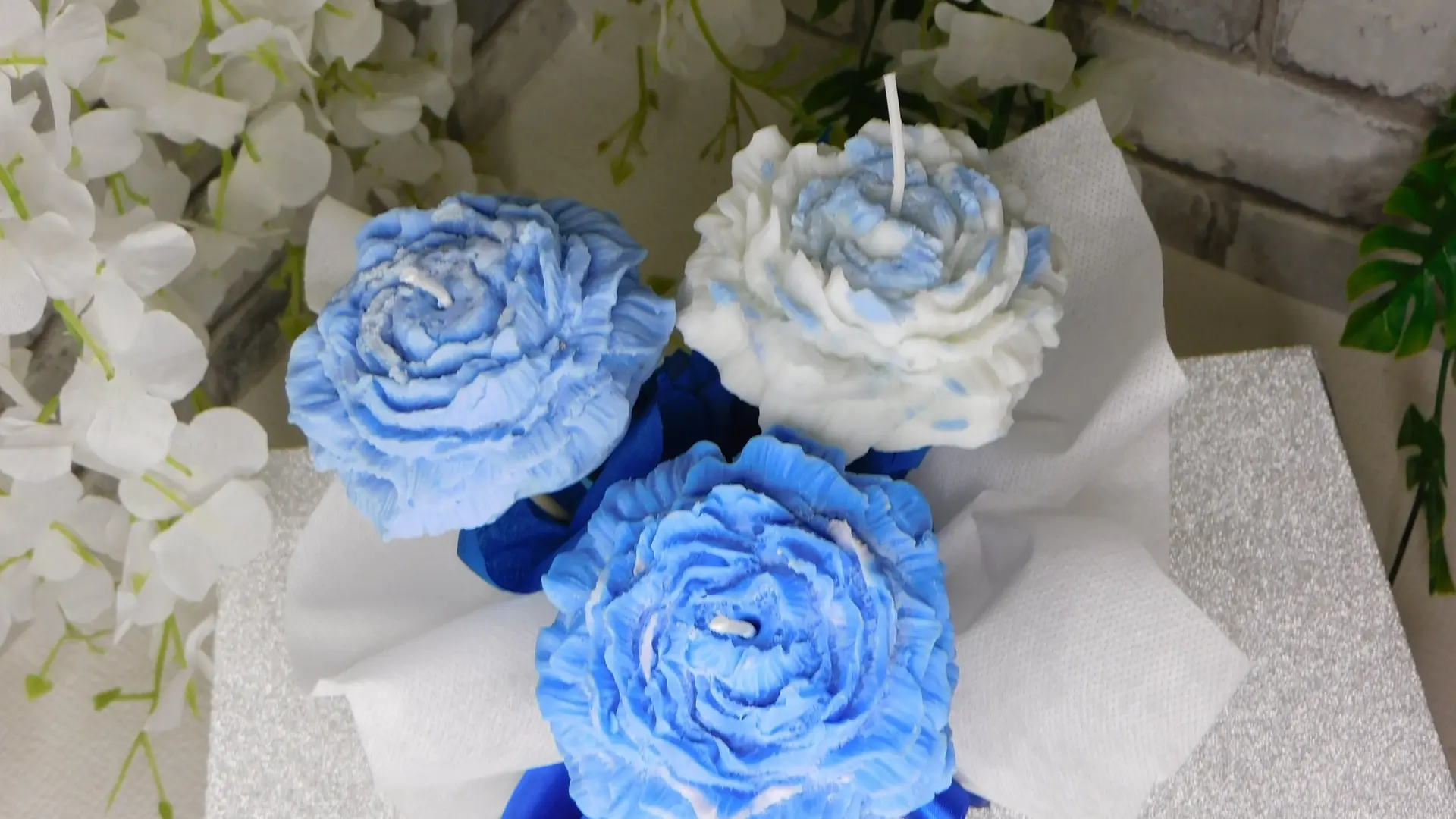 465861711_1092526412665048_1602618713416675031_n