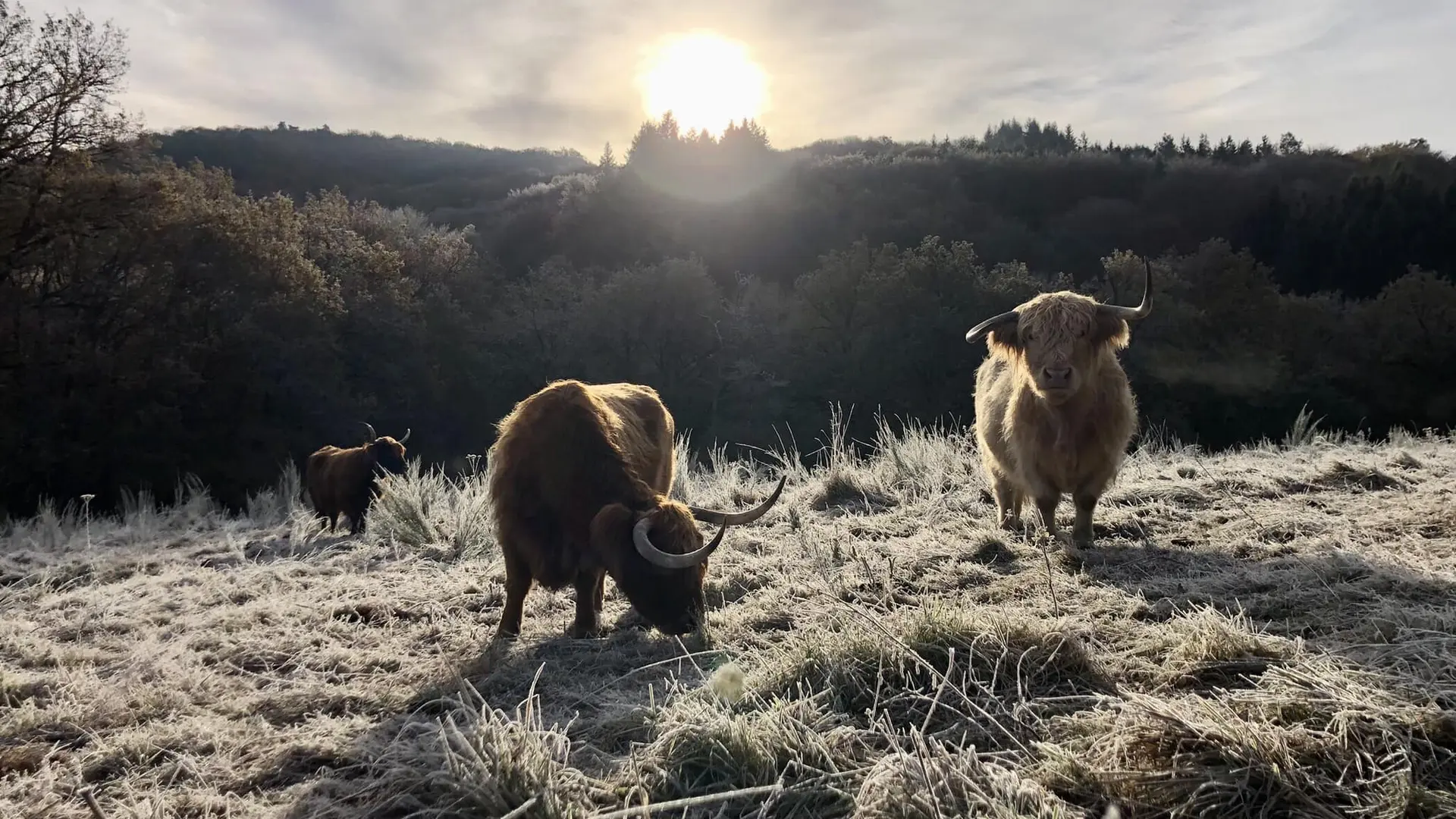 481659462_122094454772794030_5620822291283292339_n