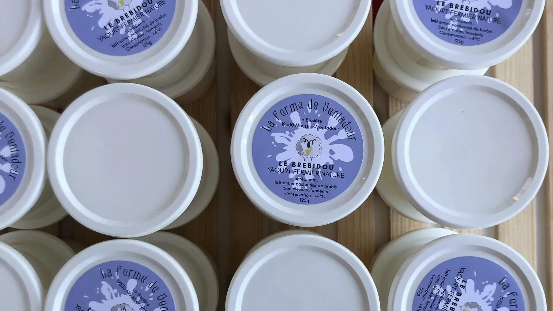 481778566_122094462338794030_1288635348915843964_n (1)