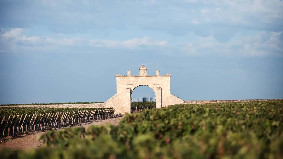 Portail du vignoble