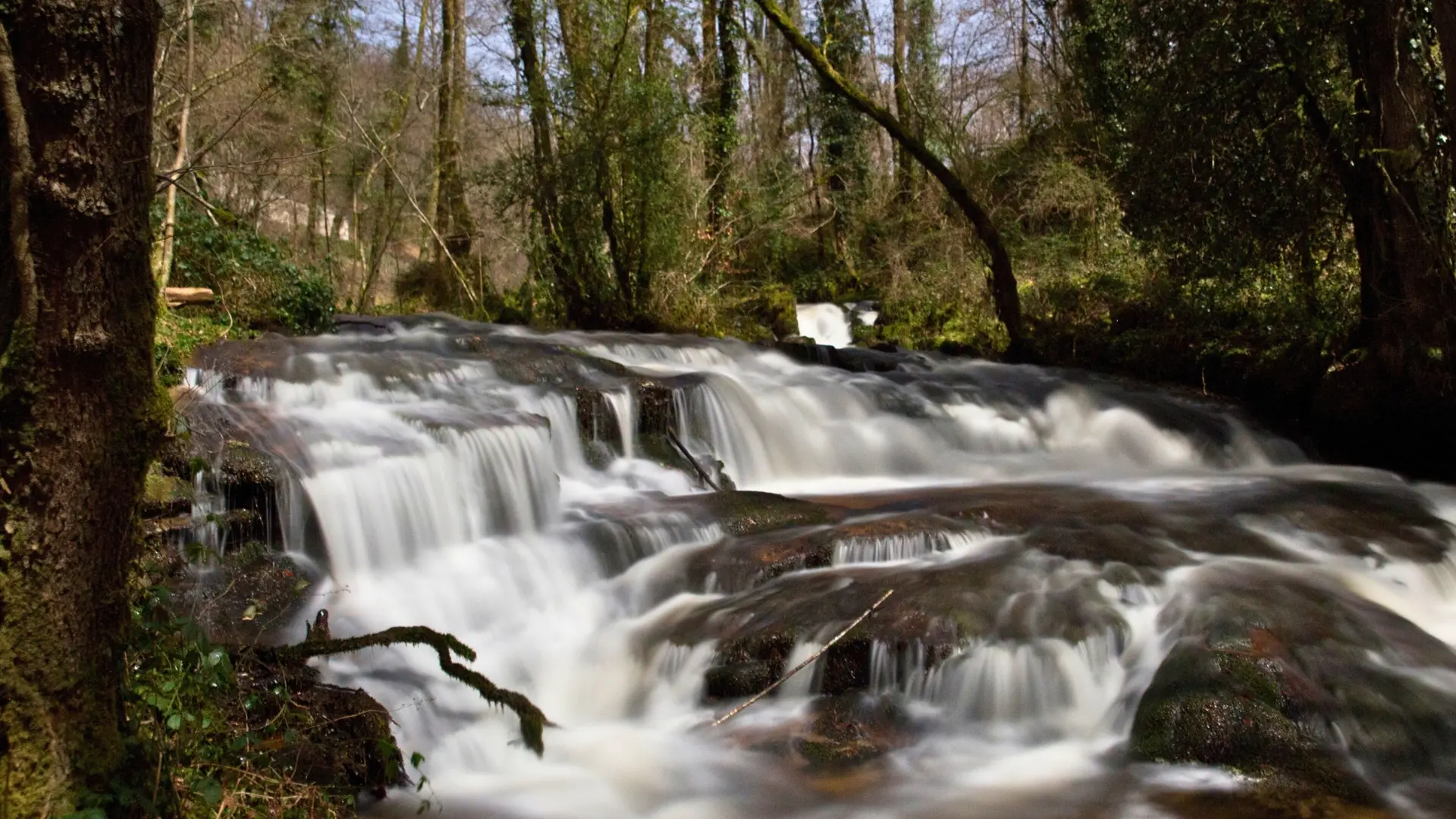 Photos Annonces Studio - Cascade sur place