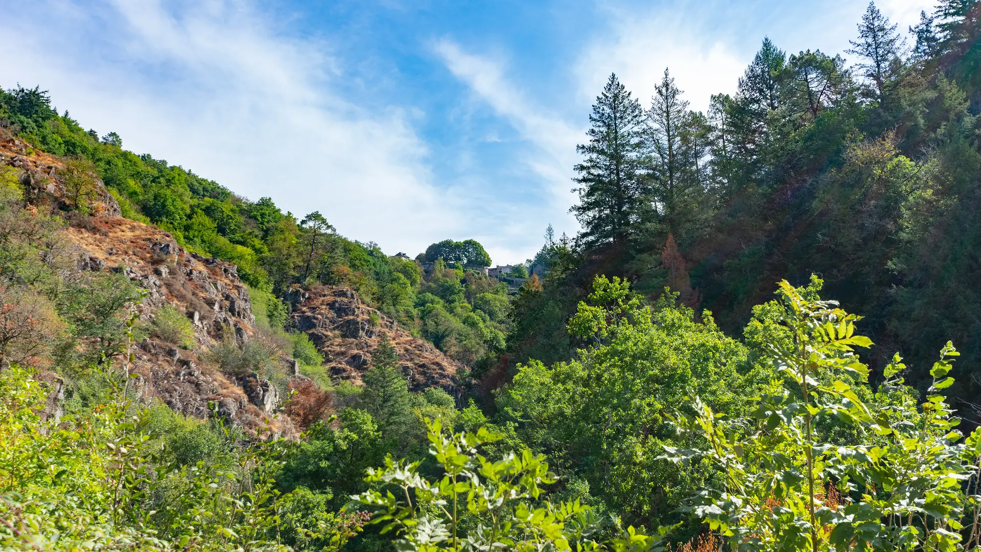 52390523566_82ba695e6c_k