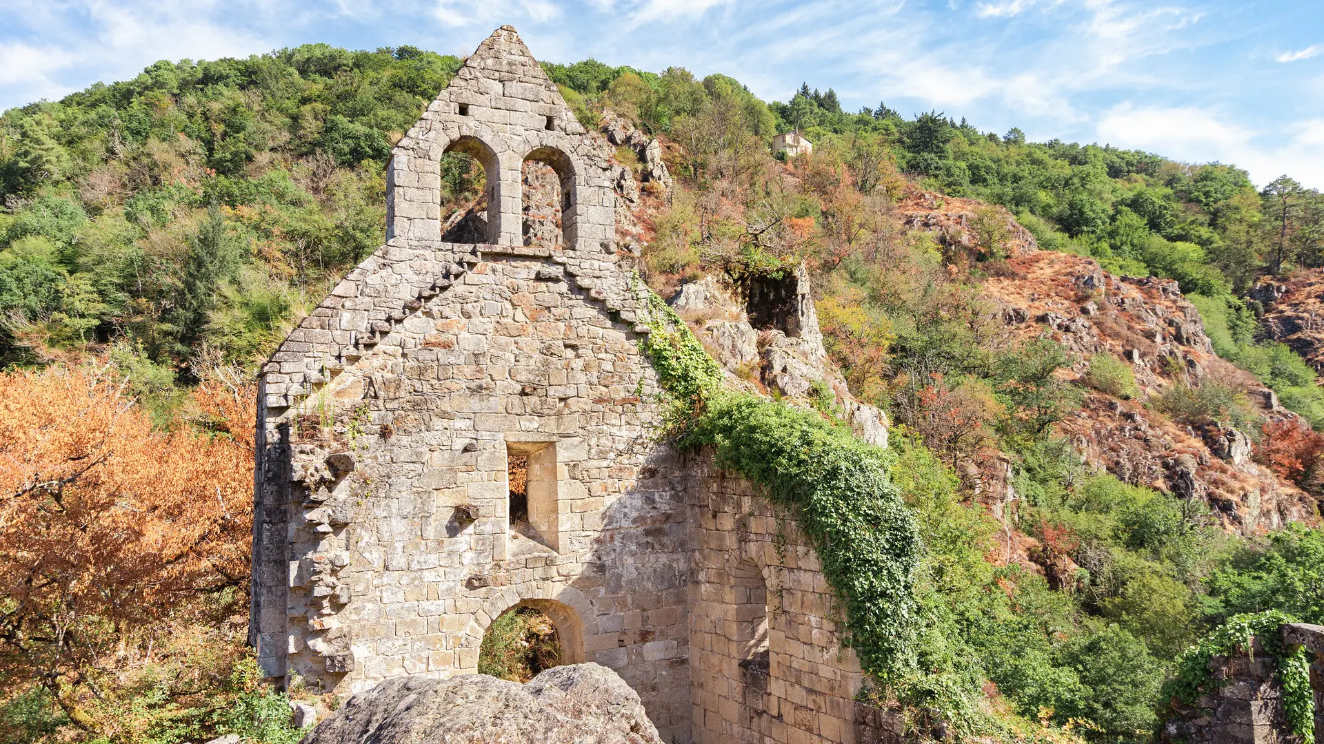 52390947135_f9dae9d6ce_k