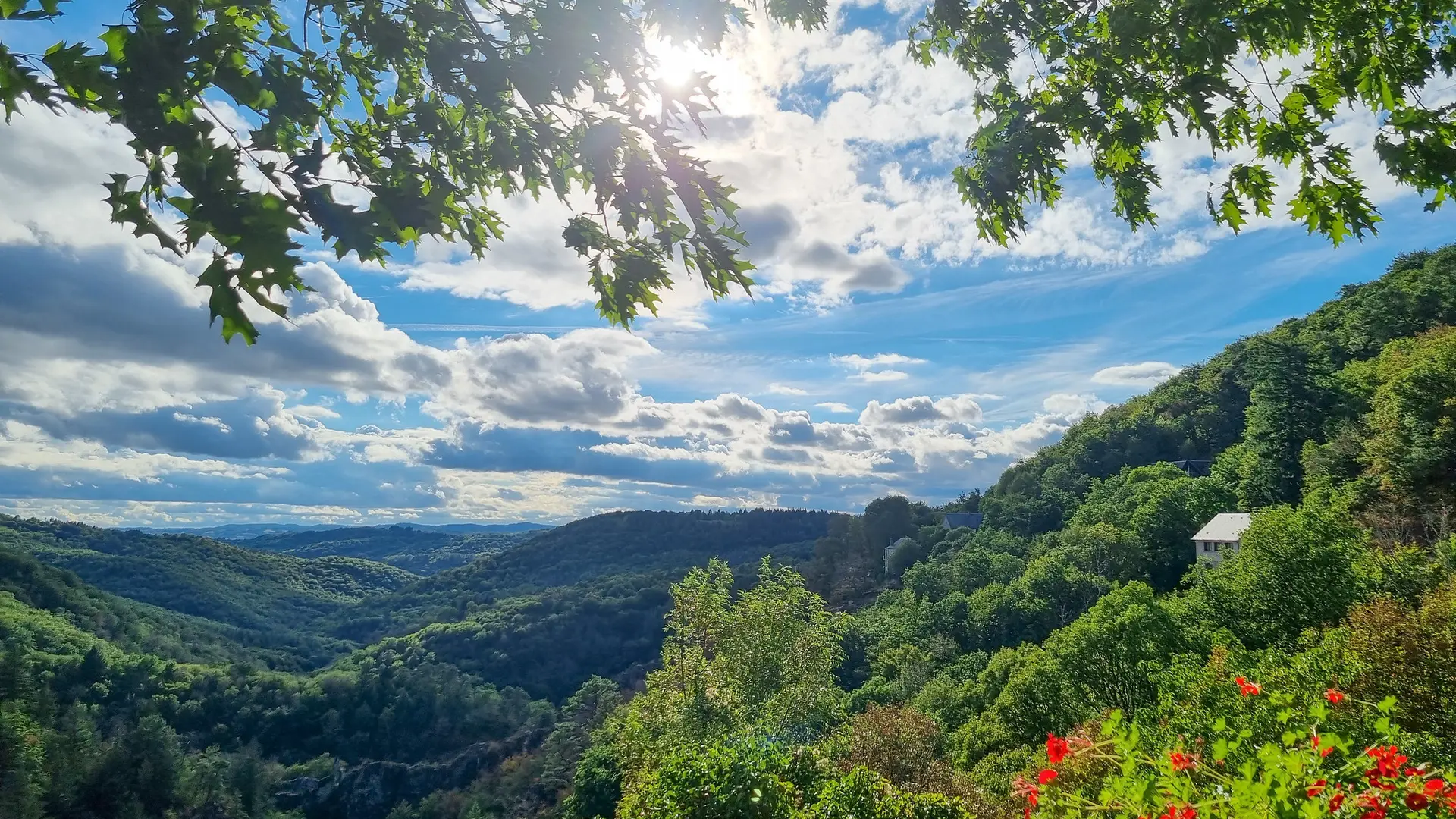 52434456311_7e3358b8fe_k