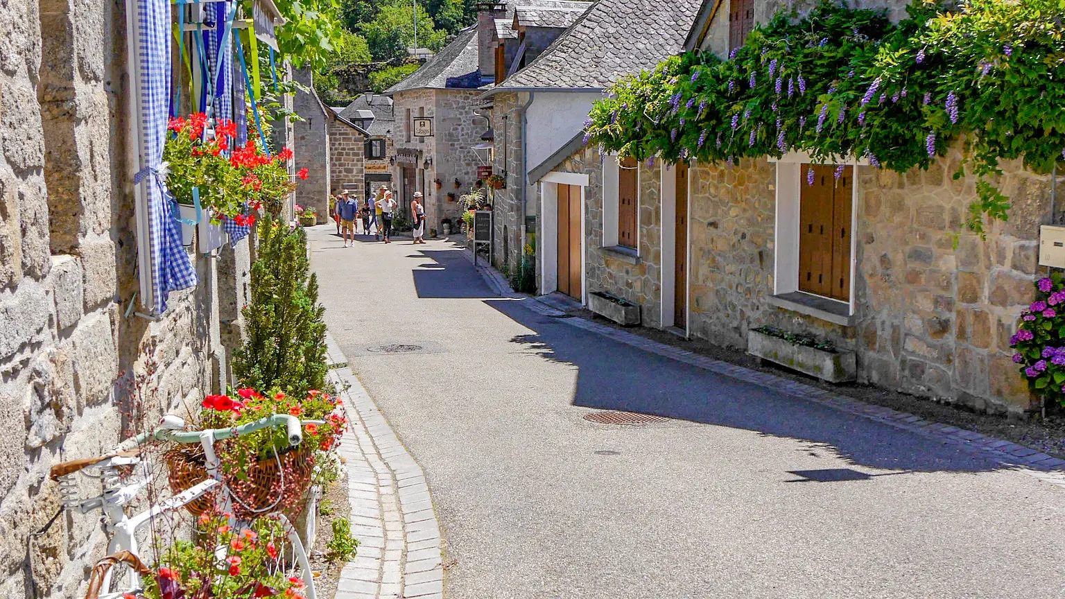 52622924204_fca3019154_k