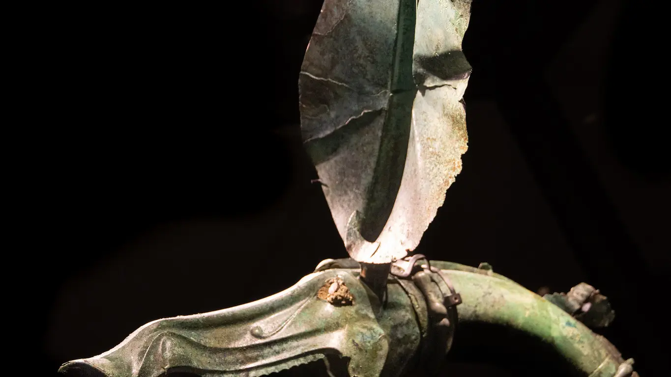 52702737805_bce9b171ba_k