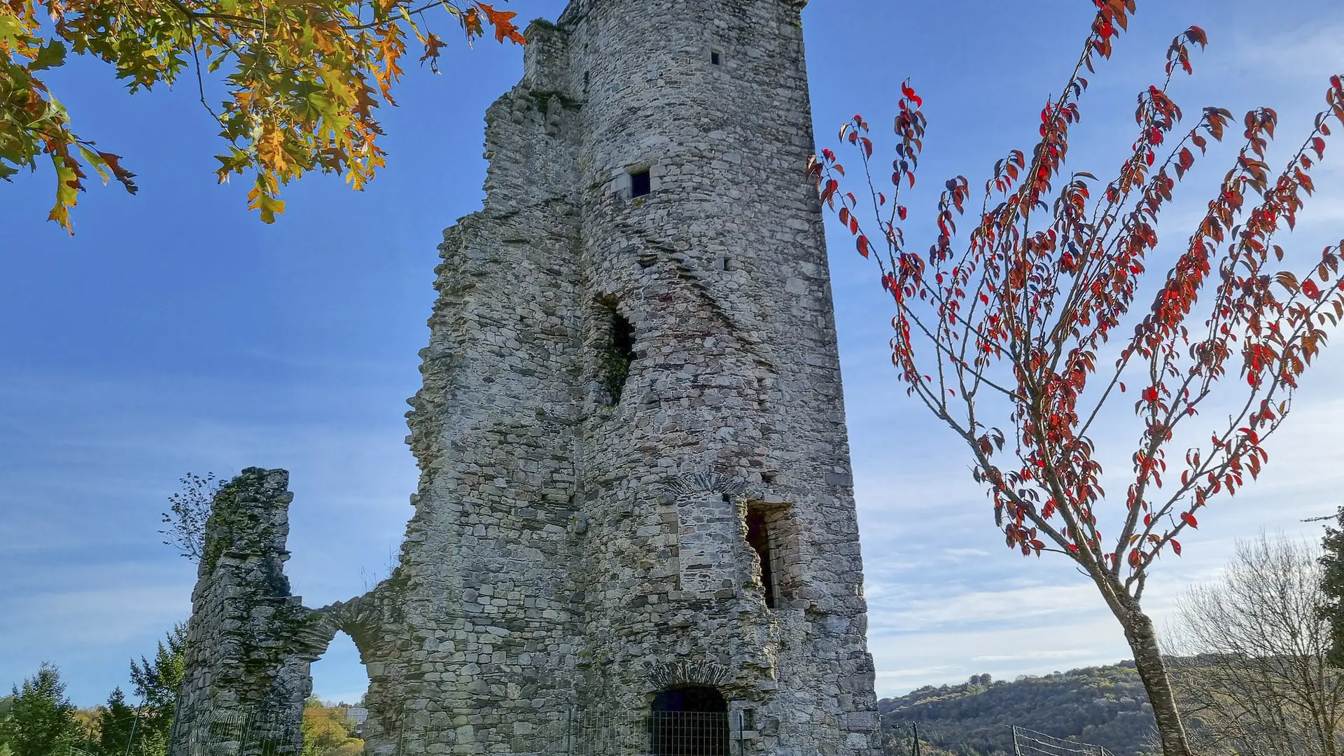 54148914715_82d8cc4f7b_k